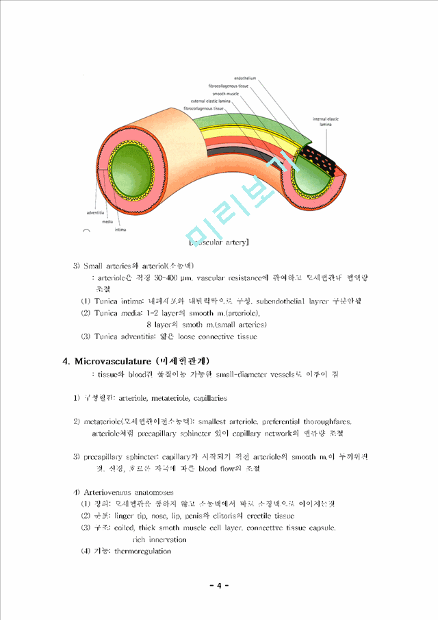 [조직학] 심장순환계의 조직학 (Histology of Cardiovascular System).hwp